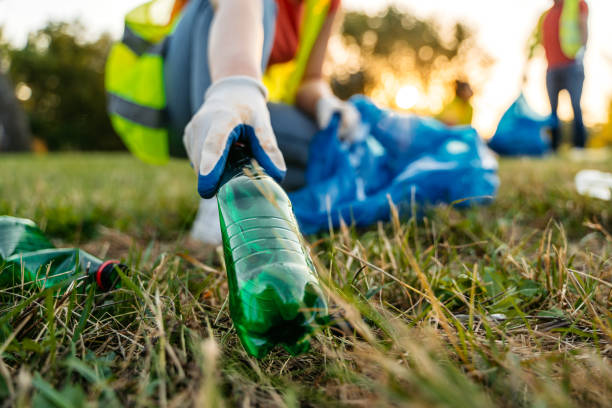 Yard Cleanup Services in Jacksonville, AL